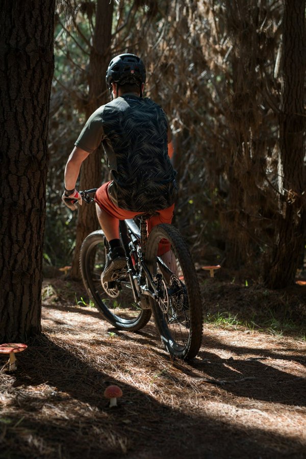 Découvrez maussane-les-alpilles à vélo : la location pratique et abordable